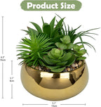 Hollyone Succulents Plants Artificial in Pots Fake Succulents for Outdoors Indoor Faux Succulent Arrangement Potted Plant in Gold Ceramics Planter Bowl for Garden Office Desk Living Room Home Decor