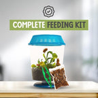 Venus Fly Trap Live Plant with 4.5" Blue Terrarium + Carnivorous Plants Food Bundle with Feeding Tweezers - Carnivorous Plant Soil and Live Venus Flytrap