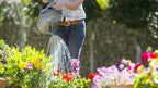 Gardenera Premium Moisture Control Potting Mix - Get The Perfect Balance of Moisture and Nutrients for Your Plants! - 20 Quart