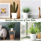 8 Pcs White Small Round Casual Plant Pots, Succulent Pots, Indoor/Outdoor, Resin Plastic, Drainage Hole, Polished Finish