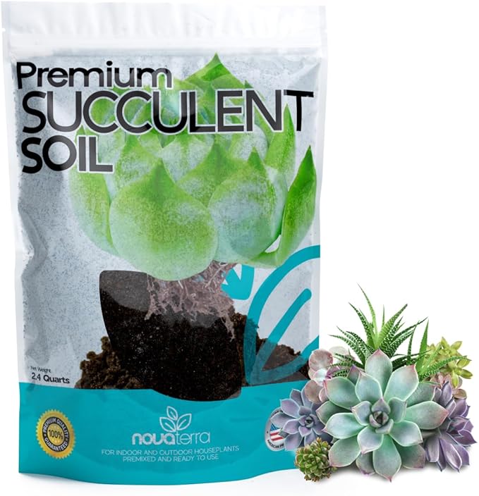 Succulent Soil Potting Mix Succulents Plants Live Succulent pots Potting Soil for Succulents Indoor suculentas Potting