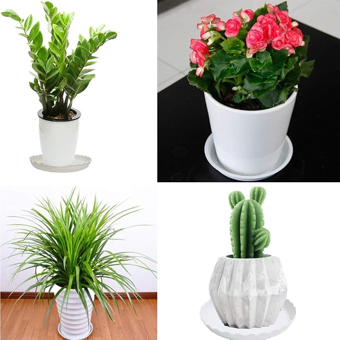 12 Packs Wave Plant Saucer - Plastic Flower Pot Drip Trays/Durable Heavy Duty White Planter Water Tray for Indoor and Outdoor Garden(6/8/10 inch)