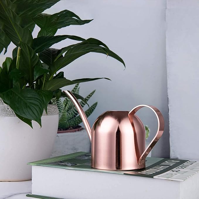 IMEEA Small Watering Can for Indoor Plants Stainless Steel Indoor Watering Can with Long Spout, 15oz/450ml