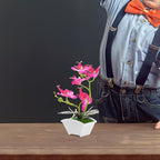 POPETPOP Mini Artificial Orchid Plant in Pot 10.62X8.66X2.16In Realistic Simulated Phalaenopsis Faux Flower for Desk Bathroom Kitchen Decor Small Potted Plant