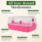 Premium Mushroom Monotub Grow Kit [XLarge, 68Q] Portable and Compact Fruiting Chamber with Plugs, Filters and Adjustable Air Vents, 22.8 x 15.7” x 12”, Pink