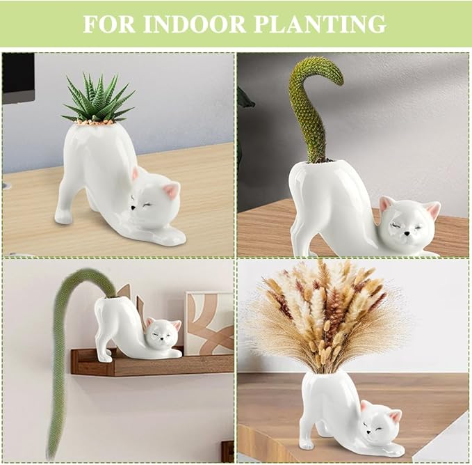 Tailless Cat Ceramic Planter – for Succulents & Cactus, Indoor Small Pot | Home/Office Desk Decor, Gift for Pet Lovers