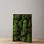 2 Color Mix Pack Preserved Pole Moss Pillow Bun Cushion Natural Decorative Green DIY Kit Art Wall Decor Florist Decor Easter Table Decor Wedding(1.5 sq.ft, Green-A,Green-B)