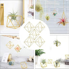 Homoyoyo 5 Pack Geometric Air Plant Holder - Gold Metal Himmeli Stand for Tillandsia, Minimalist Airplant Display Rack for Home Office Desktop, Modern Indoor Plant Decoration (2.6 x 2.6 inch)