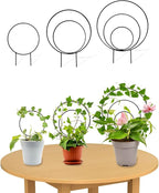 3 Pcs Unique Round Hoya Garden Trellis, Different Small Houseplant Trellis for Climbing Plant Indoor Outdoor, Garden Trellis Plant Support for Potted Ivy and Flowers (Black)