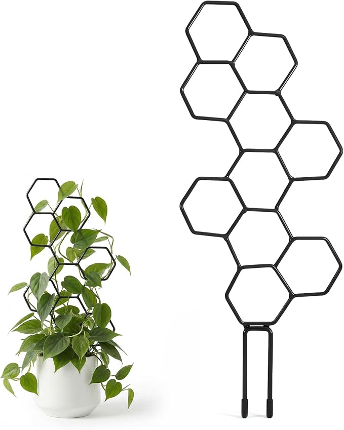 Small Trellis for Potted Plants, 14 Inch Indoor Trellis for Climbing Plants Honeycomb Shape Metal Plant Trellis for Pots Plant Climbing Support for Flower Hoya Pothos Houseplants(Black)