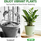 Self Watering Pots for Plants, 2026 New Flower Plant Pots with Drainage Holes, Wicking and Clear Reservoirs for Succulent, Aloe, Cacti and Others - 6 Pack (Green, 6")
