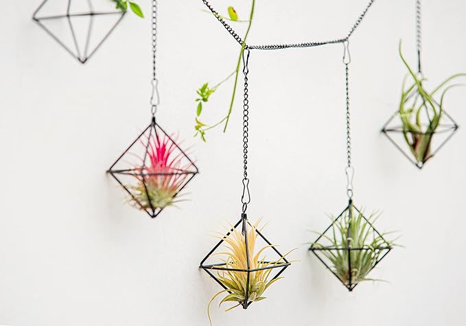 Small Air Plants Holders Black Hanging Airplants Hangers Iron Wire Airferns Display Frame Geometric Tillandsia Air Planter with Chains for Wall Mounted Himmeli Decor 6pcs(No Plants)