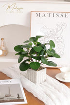 Muhanjia Artificial Potted Plant, Lifelike Faux Greenery in Decorative Cement-Look Square Pot for Indoor Home Decor Centerpieces (Peperomia)