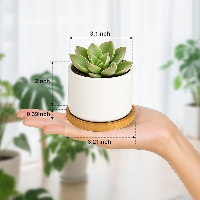 ZOUTOG Succulent Pots 3.1 Inch,8 Pack Succulent Planters,Small Pots for Plants with Drainage and Tray,White Ceramic Flower Planters for Indoor Plants,Home,Office,Desk