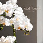 Avoeco Artificial Real Touch Orchid Plant – 20″ Faux Phalaenopsis in Pot – Highly Realistic Silk Orchid Flower & Leaf Texture for Home, Office,Shop & Wedding Décor (1 White, 20”)
