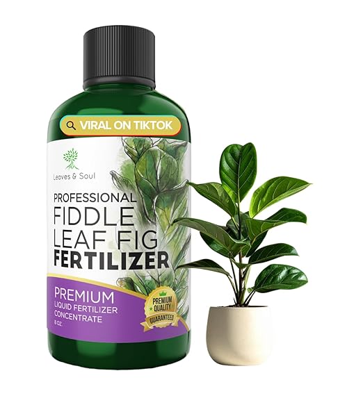 Professional Fiddle Leaf Fig Fertilizer Liquid 3-1-2 Concentrate 8 oz, Premium Fiddle Leaf Fig Plant Food for Indoor House Plants, Liquid Fertilizer for Fiddle Leaf Fig Plants