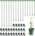 LUCKJUJU 30 Pcs Plant Support Stakes with 30 Pcs Plant Clips Garden Floral Flower Support Single Stem Support Stake for Phalaenopsis Orchid Flower Roses Amaryllis