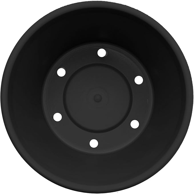 Bloem Terra 4" Diameter Round Black Resin Planter Pot with Pre-Drilled Drainage Holes for Indoor and Outdoor Gardening
