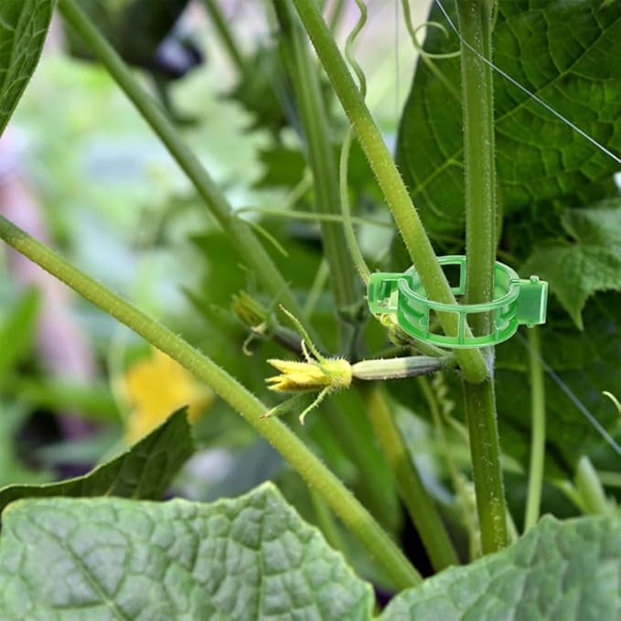 Plant Support Clips, Tomato Clips, Plastic Trellis Clips, 50 Pcs Grape Vine Tomato Vine Vegetables Plants Garden Support Clips to Grow Upright Makes Plants Healthier