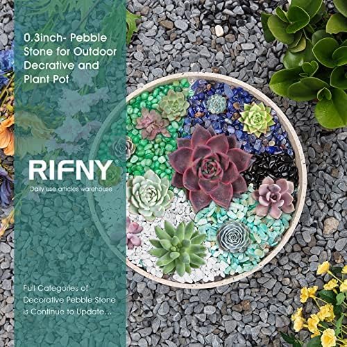 RIFNY Decorative Polished Rocks, 0.3" Gravel Rocks Crushed Crystal for Plant Flower Pots Succulents Cactus Bamboo Plant Vase Filler Aquarium Fish Tank Decorations and DIY Craft (1.5 LB, Green)
