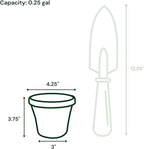 Bloem Terra 4" Diameter Round Vanilla Bean Resin Planter Pot with Pre-Drilled Drainage Holes for Indoor and Outdoor Gardening