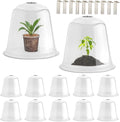 13 Inch Humidity Domes Garden Cloches for Plant Protection, Plant Covers Freeze Protection, Protectors from Animals, Garden Clear Plant Cover with Ventilation Holes 10 Pack