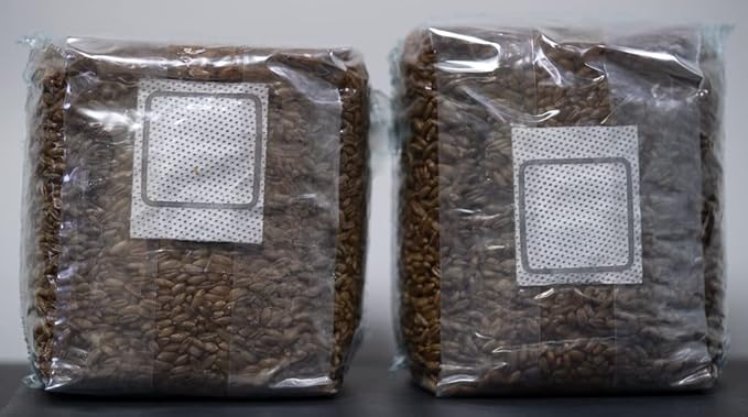MycoHaus Mushroom Growing Kit | Sterilized Rye Grain | Magic Indoor Grow Bags for Mushrooms | Shroom Home Cultivation Magic Supplies | Without Spores | Without Injection Ports | 2 Pound (6 Pack)