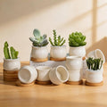 ZOUTOG 12 Pack Succulent Pots, 2.6 Inch Mini Ceramic Pots for Flower or Cactus Plants with Drainage Hole,Plants Not Included