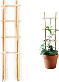 Cambaverd 24 Inch Trellis for Potted Plants, 3 Pack Bamboo Trellis Indoor, Natural Garden Trellis for Climbing Plant Monstera Hoya Vegetables and Fruits