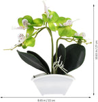 POPETPOP Artificial Orchid Flowers Mini Potted: Artificial Orchid in Pot Faux Orchid in Ceramic Vase Fake Flowers Arrangement Centerpiece Table Decorations for Home Office Green