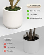 Artificial Olive Tree 5FT - Tall Faux Olive Trees Indoor with White Planter, Large Fake Olive Plants Realistic Branches Natural Thick Trunk and Fruits for Home House Office Decor