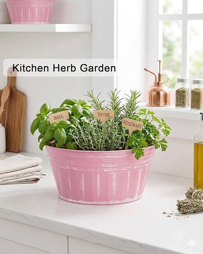 vensovo 10 Inches Pink Metal Rustic Plant Pots - 4 Pcs Large Shallow Galvanized Planters with Drain Hole and Rubber Plug, Rustproof Tin Bucket Succulent Pot Indoor Farmhouse Vintage Style for Decor