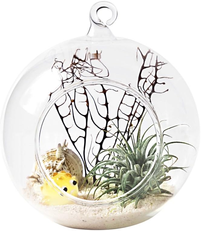 Mkono 2 Pack Glass Hanging Planter Air Fern Holder Terrarium Plants Hanger Vase Home Christmas Decoration Gift Idea for Succulent Moss Tillandsias Air Plants, Globe and Teardrop