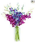 KaBloom - Bouquet of 10 Blue and 10 Purple Orchid with Vase - Fresh Flowers for Birthday, Valentine's & Mother's Day