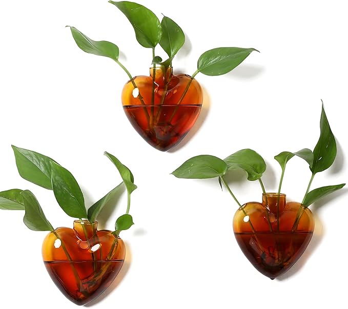 Wall Hanging Planter Propagation Station for Indoor Plants Glass Vase Air Plant Holder Gift for Women Girlfriend Plant Lover