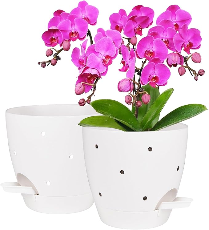 Vanslogreen 6 Inch Orchid Pots with Holes, 2 Pack Self Watering Planters for Orchids Plastic Orchid Pot Plant Flower Pots for Orchids Indoor Outdoor (White)