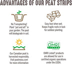 Jiffy Seed Starting Strips - Biodegradable, Plant Starter Pots, 10 Cell, 50 Strips - Peat