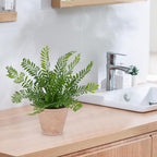 Artificial Fern Potted Plant, 10" Small Fake Plants in Pot, Faux Fern Plant for Home Office Farmhouse Living Room Bathroom Kitchen Tabletop Desk Shelf Decoration