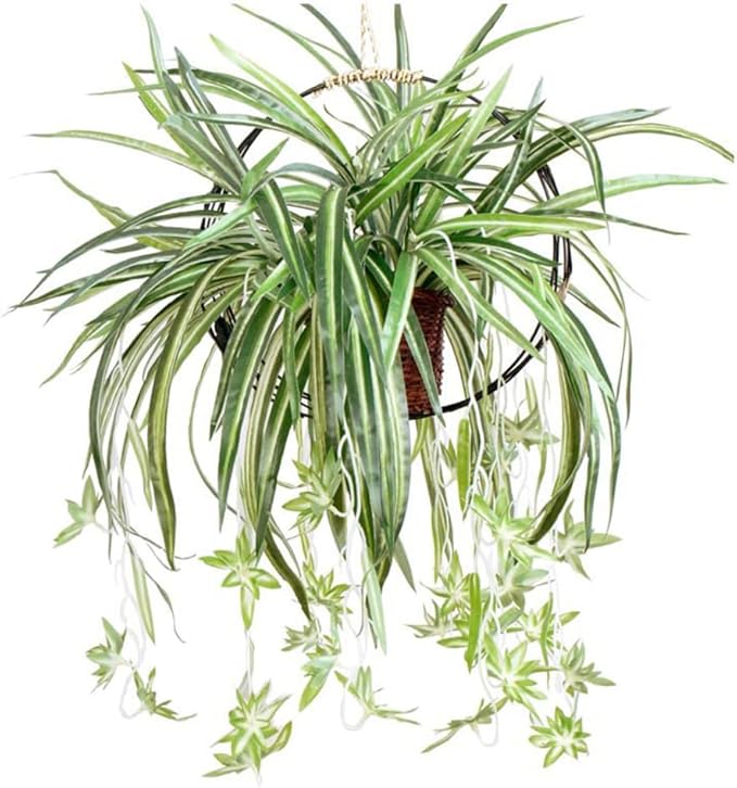 5 Packs Artificial Spider Plant Silk Faux Chlorophytum Comosum Fake Spider Hanging Plant for Outdoor Indoor Home Garden Office Decoreation