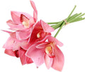 2 Bunches of Simulated Hand-Feel Cymbidium Orchid Small Bunches of 6 Tied Hand-Tied Flowers for Home Living Room Dining Table Decoration Artificial Flowers (Pink)