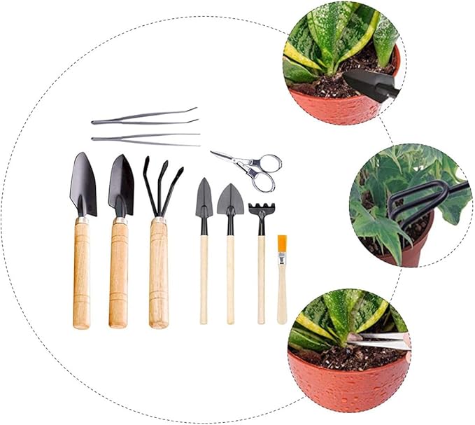 Ciieeo 10pcs Mini Gardening Tool Set for Succulent and Potted Planting with Wooden Handles, Soil Detecting Device, and Bonsai Accessories for Indoor and Outdoor Plant Care