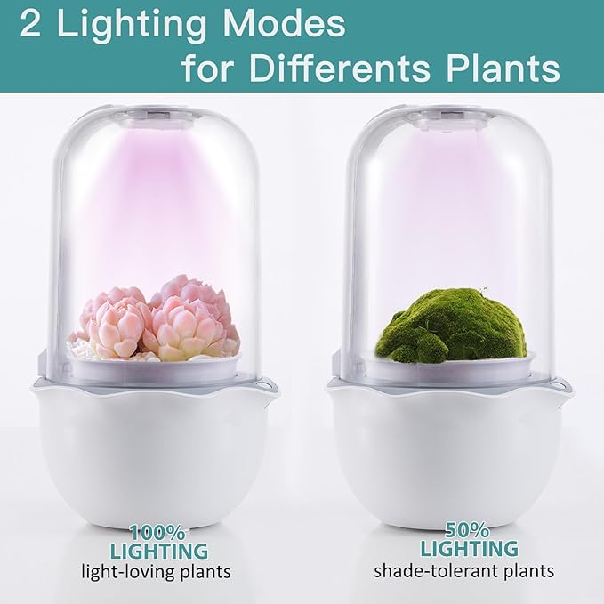 Venus Fly Trap Terrarium Pot with Timer Grow Light&Fan,Plant Terrarium kit for Moss&Cactus,Smart Planter for Carnivorous Plants&Butterwort,Mother's Day Birthday Gifts for Women Garden Lover(no Plant)