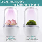 Venus Fly Trap Terrarium Pot with Timer Grow Light&Fan,Plant Terrarium kit for Moss&Cactus,Smart Planter for Carnivorous Plants&Butterwort,Mother's Day Birthday Gifts for Women Garden Lover(no Plant)