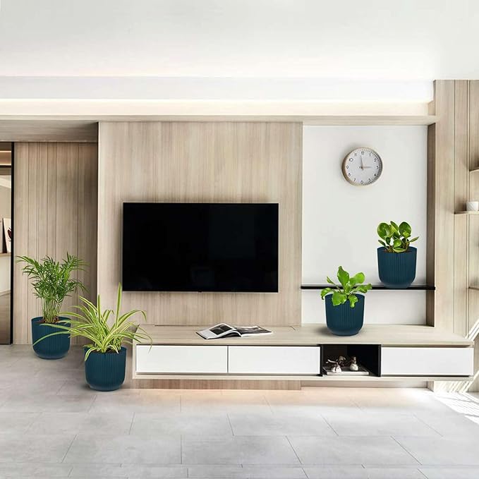 Pet Friendly Live Plants for Indoor | Different Houseplants in Multiple Sizes | Real House Plant for Living Room, Office, Desk & Bathroom