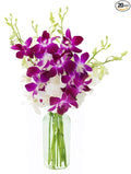 KaBloom - Bouquet of 10 Purple and 10 White Orchid with Vase - Fresh Flowers for Birthday, Valentine's & Mother's Day