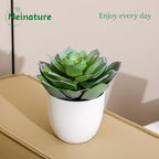 Lifelike Artificial Succulent Plants in White Large Basin - 5.5 Inch Diameter Large Flowers, Green & White, Ideal for Home and Office Table Decoration