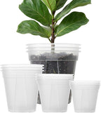 12 pcs 12/10/8/7 inch Large Clear Nursery Pot with Drainage Holes,Reusable Thick Plastic planters for repotting Orchid,Monstera,Aroid, Indoor and Oudoor use
