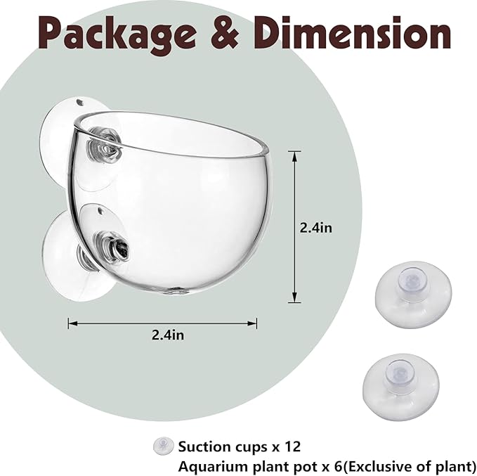 Tfwadmx 6 Pieces Aquarium Plant Holder Pot Aquarium Decor Crystal Glass Aquatic Plant Cup with Suction Cups Aquarium Fish Tank Decorations