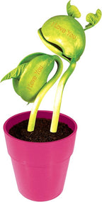 Unique Gardener "I Love You Beans Grow Kit - Includes 2 Engraved Lima Beans, Planter, Terrarium, & Germination Disk - Sprouts in Just 1 Week - Grow a Romantic Surprise