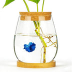 0.5 Gallon Fish Bowl Betta Fish Tank Glass Aquarium with Wood Lid & Bamboo Stand – Hydroponic Plants Planter, Glass Vase, Gift